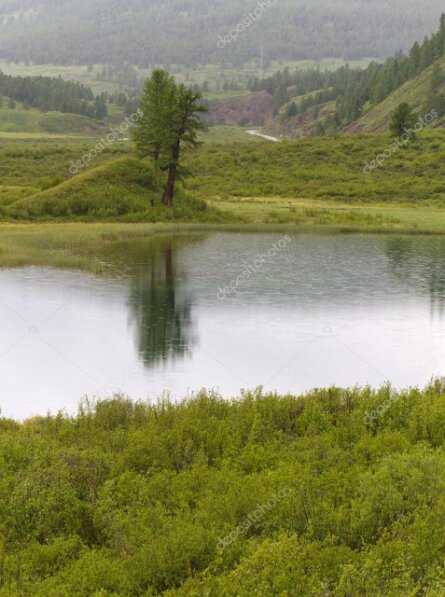 Landschaft der Fränkischen Schweiz mit Hügeln, Wald und Felsen