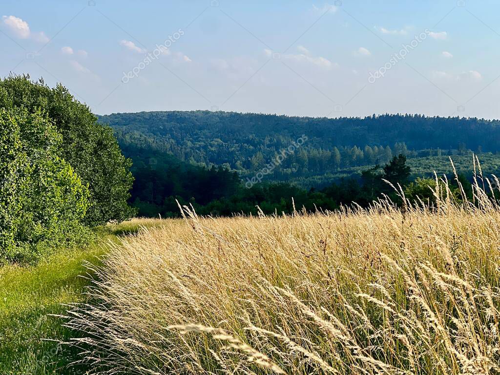 Wanderer am Bierquellenwanderweg nahe Lindenhardt