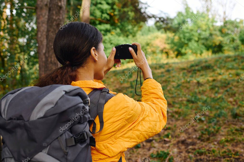 Herbstlicher Waldweg mit buntem Laub am Boden
