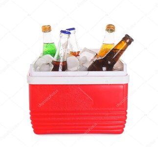 Getränkekühlschrank gefüllt mit Flaschenbier